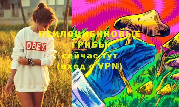 мескалин Козловка