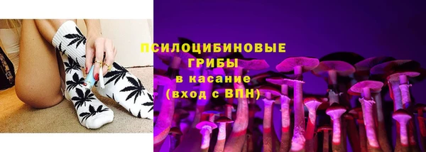 дурь Коряжма