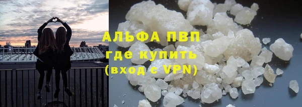 мяу мяу мука Дмитриев