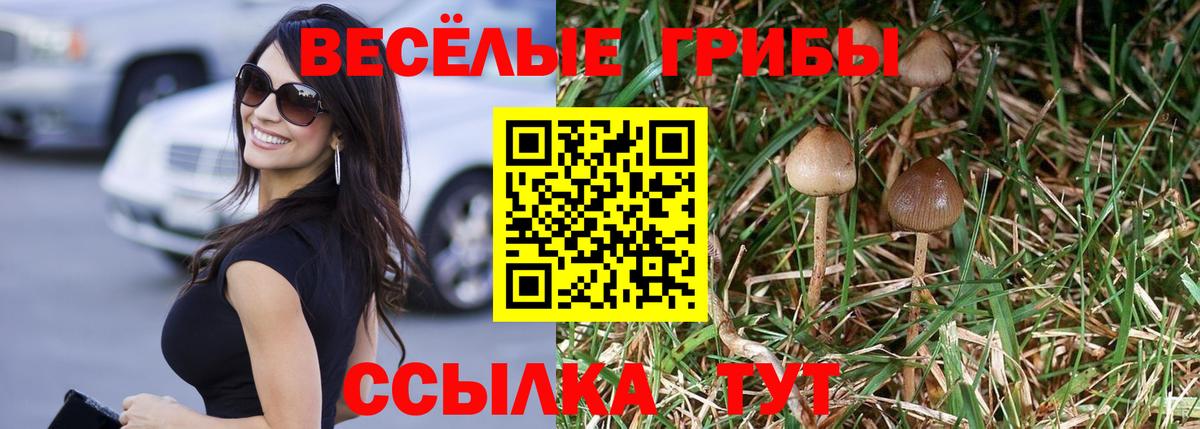 Псилоцибиновые грибы Psilocybe  Галлюциногенные грибы GOLDEN TEACHER  Минусинск  Вход с VPN 